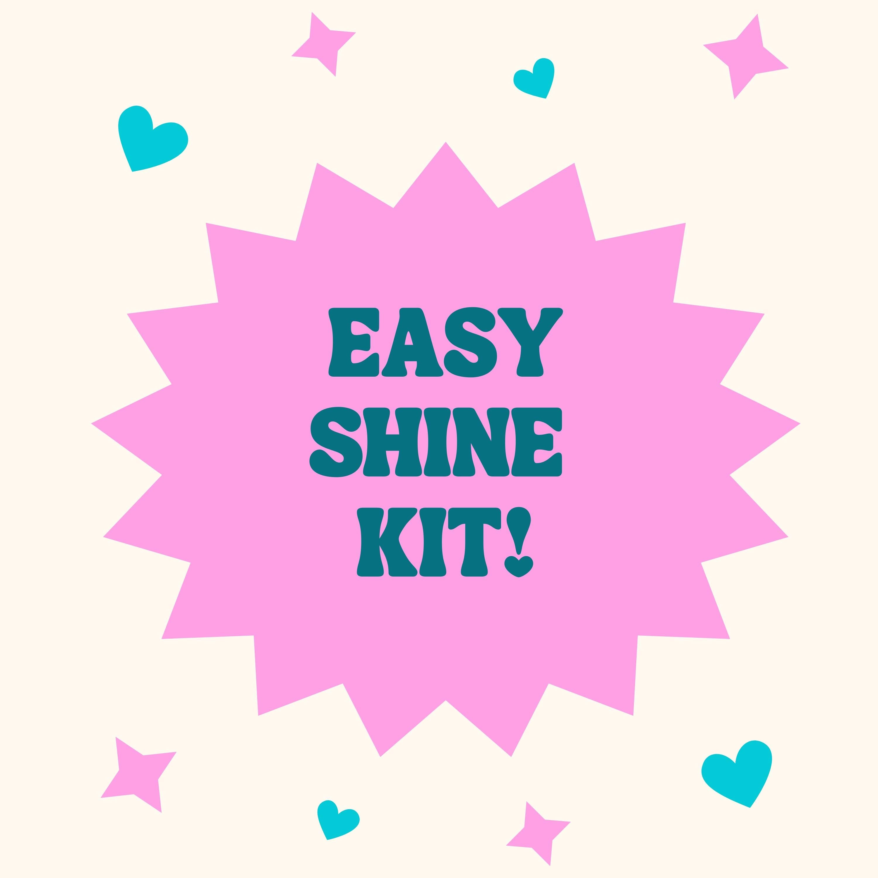 Easy Shine Kit
